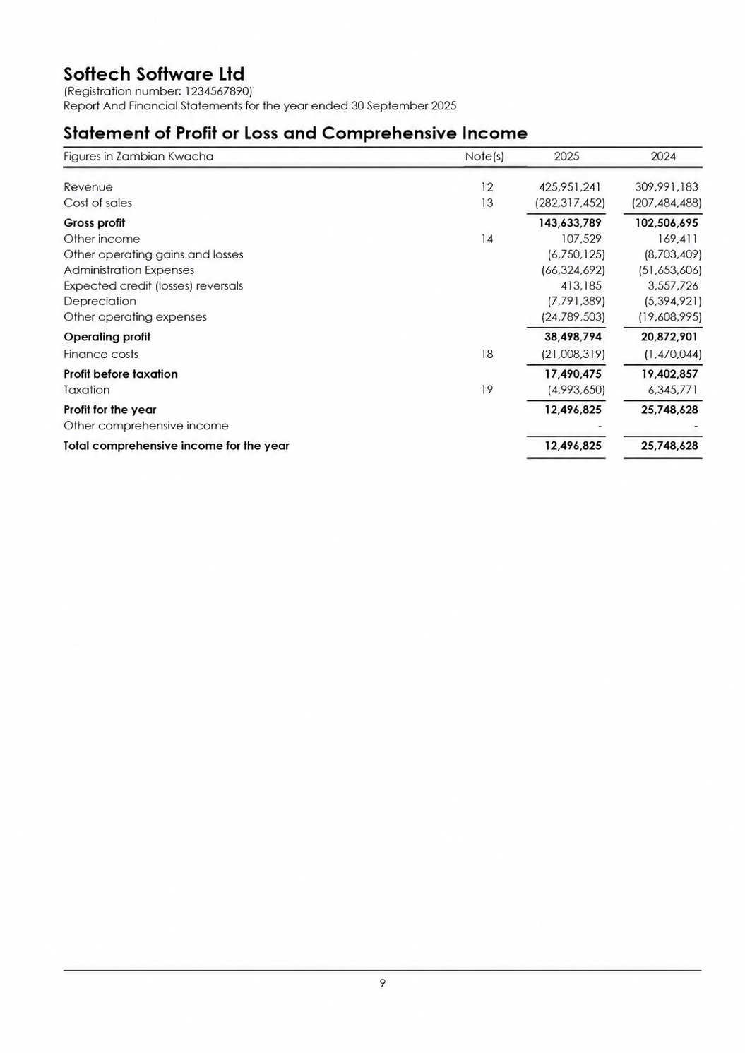 A specimen Income Statement laid out on a single page, with revenue, expenses, and net profit subtotals.